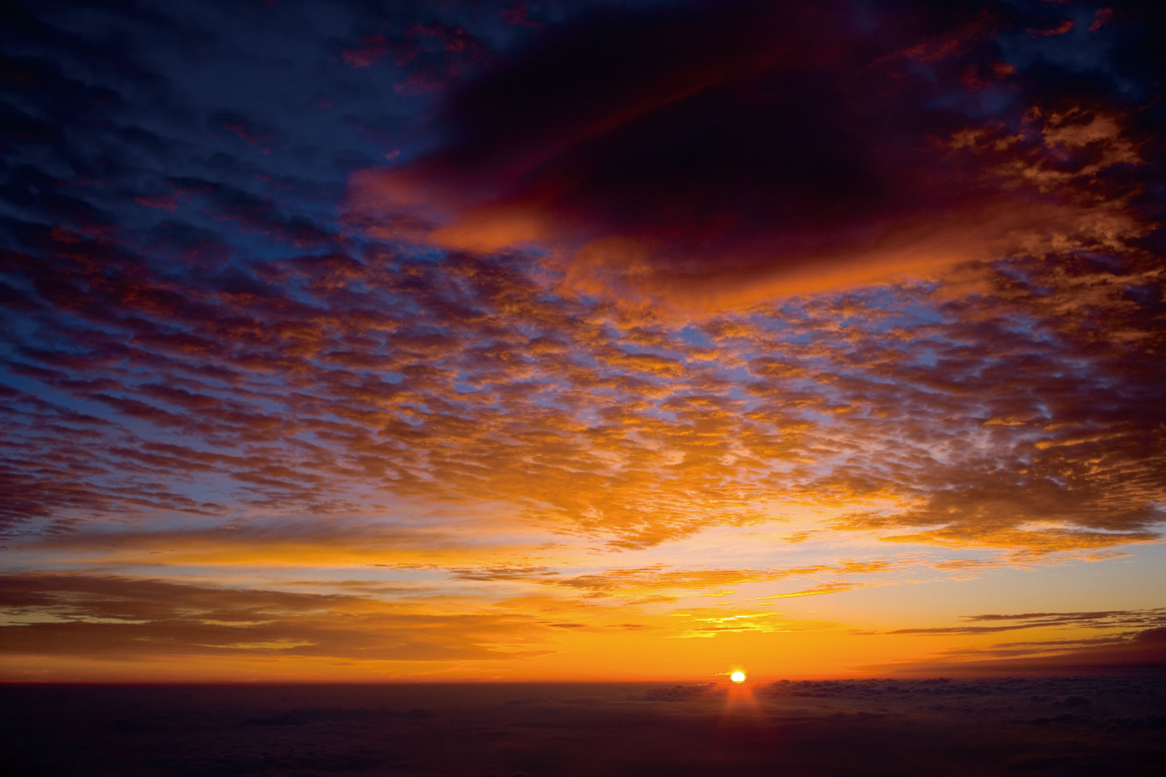 ��NEWS�� 2017ǯ�٤Τ�ͽ����ճ������ˤĤ���